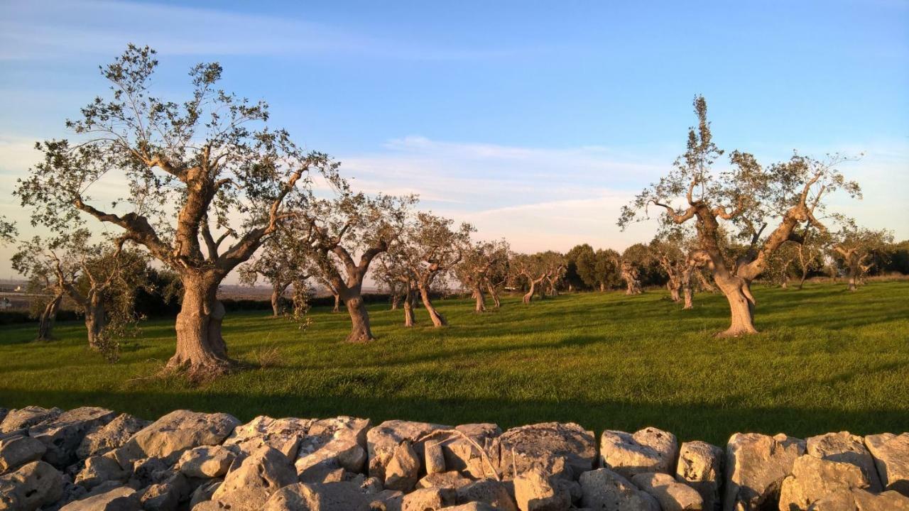 Antiche Mura Apartments "Nel Cuore Della Puglia"Bivani, Cucina, Terrazzo Turi Exteriér fotografie